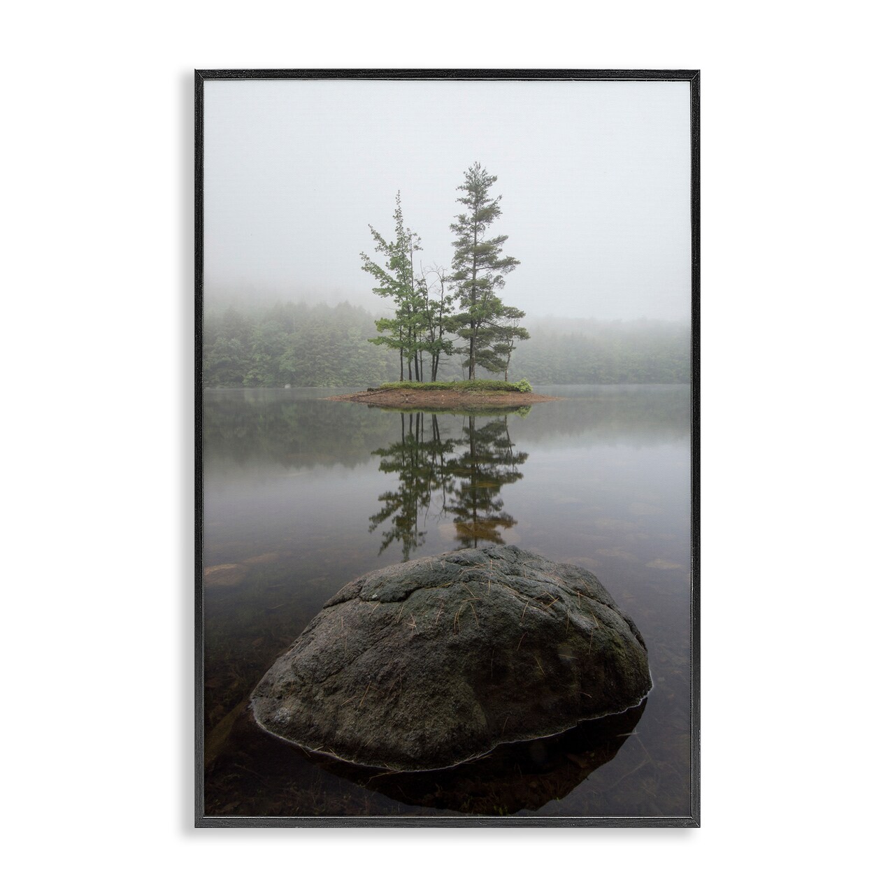 Stupell Industries Duo Trees Lake Reflection Framed Giclee, design by James Rodewald